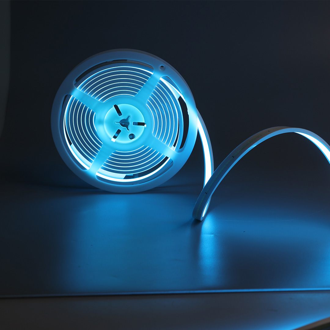 BL-NF12-24-CB LED Neon Flex – Detailansicht